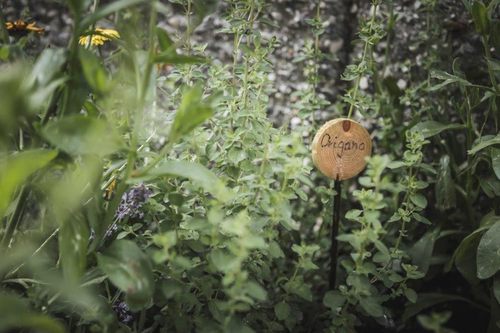 Ahrn Natur Apartment Lutago Exterior foto